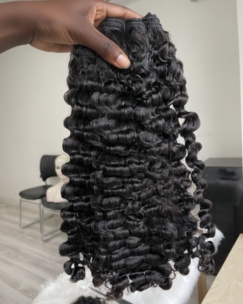 BURMESE CURL - Image 2